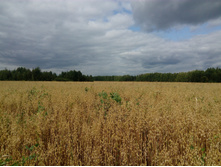 IMG 20170826 120140.jpg