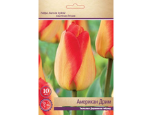 ������� �������� ����.jpg