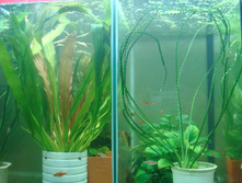 ��. ����������� � ������ ���������