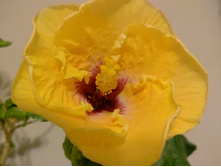 IMG 20170823 192834 AO HDR.jpg