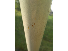 IMG 20170729 174753.jpg