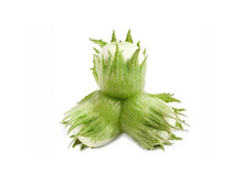 ������ �������� ������������, ���, �������� ���������, 1 �� ������