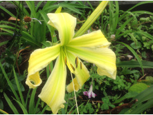 ������� ����� �� �����