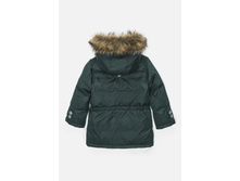 20110130115   Rolando        -       (    ).jpg