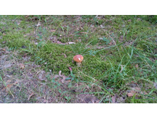 IMG 20170820 165137.jpg