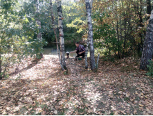 IMG 20170827 114957.jpg