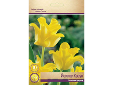 ������� ������ �����.jpg