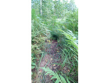 IMG 20170805 151756.jpg