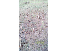 IMG 20170820 174241.jpg