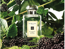 BLACKBERRY & BAY  ��� 100 �� 8600+%+����