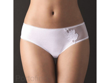 DS1080 ����� �������� �������