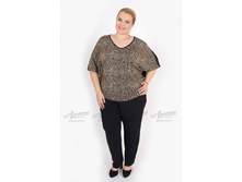 ������ V369.27