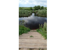 IMG 20170805 165207.jpg