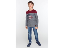 20110100077   Hollyhox   �����.jpg