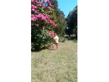 IMG 20170801 150144.jpg