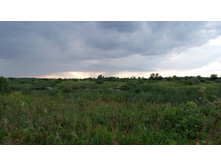 IMG 20170805 182528.jpg