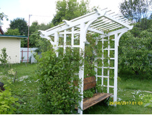 SDC11645.JPG