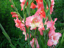 IMG 5414.JPG