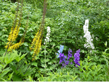 ����������� 069.jpg