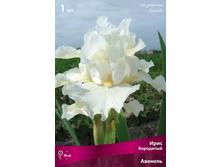 ���� ��������� �������.jpg