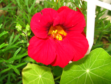 IMG 5371.JPG
