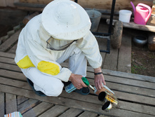 IMG 1652 �����.JPG