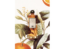 Fleurs d'oranger  �.�.100 �� 12000+%+����