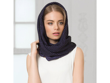 ����� ���� ���� �������-810 ���