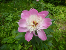 ����������� 063.jpg