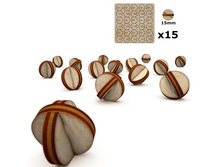 ������� ��� ���������� 15�� ���-10-0029, 24 p.