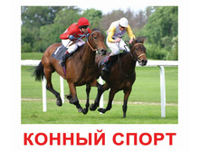 �������� �������� "�����" �������: 0362 - 159 ���.