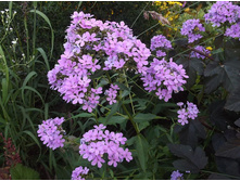 ����� �� ����