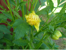 ������� No8 �����������.JPG