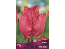 ������� �����.jpg