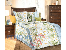 1100� ��� 1,5�� ���� �������� ���������.jpg