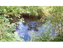 IMG 20170805 151826.jpg