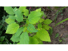 4-130 ���. ���������.jpg