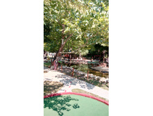 IMG 20170804 144218.jpg