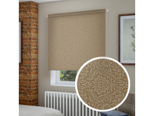 �����, �����	��������