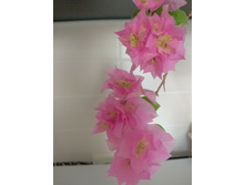 IMG 20170824 135636 AO HDR.jpg