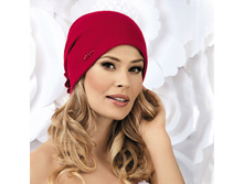 CENIS ����� �������-950 ���