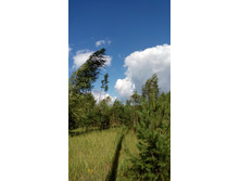 IMG 20170805 132639.jpg