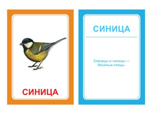 �������������� �������� "��������� "�"" �������: 0843 - 99 ���.