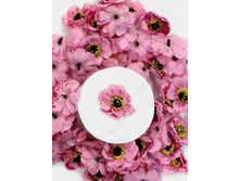 ������� ������������ "���" 4 ��, ������� 4,9 �.