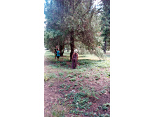 IMG 20170729 151902.jpg