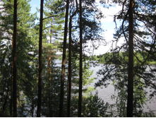 IMG 3753.JPG