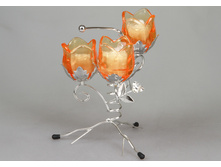 310 ���. - ����������