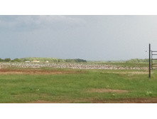 IMG 20170805 164710.jpg