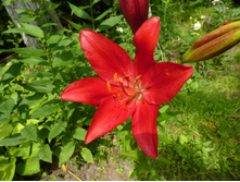 ����������� 084.jpg