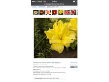 ���� ���� ���